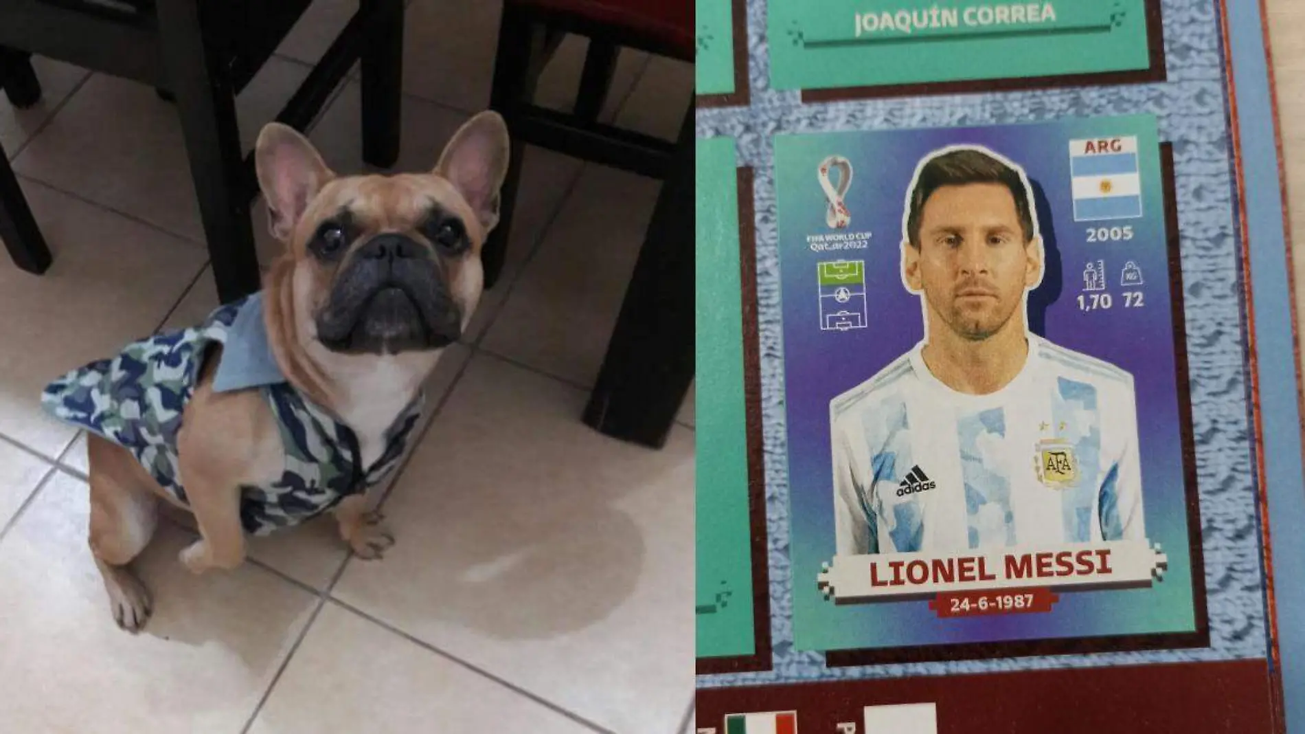 Ofrece estampa de Lionel Messi como recompensa para encontrar a perro